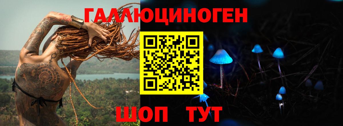 Галлюциногенные грибы MAGIC MUSHROOMS Гуково